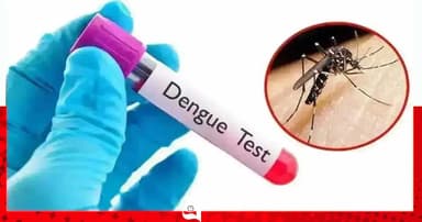 ডেঙ্গুতে ২৪ ঘণ্টায় মৃত্যু ৭