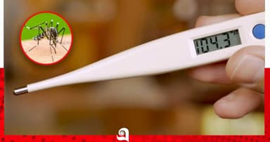ডেঙ্গুতে মৃত্যু ২, হাসপাতালে ভর্তি ৯৫৫