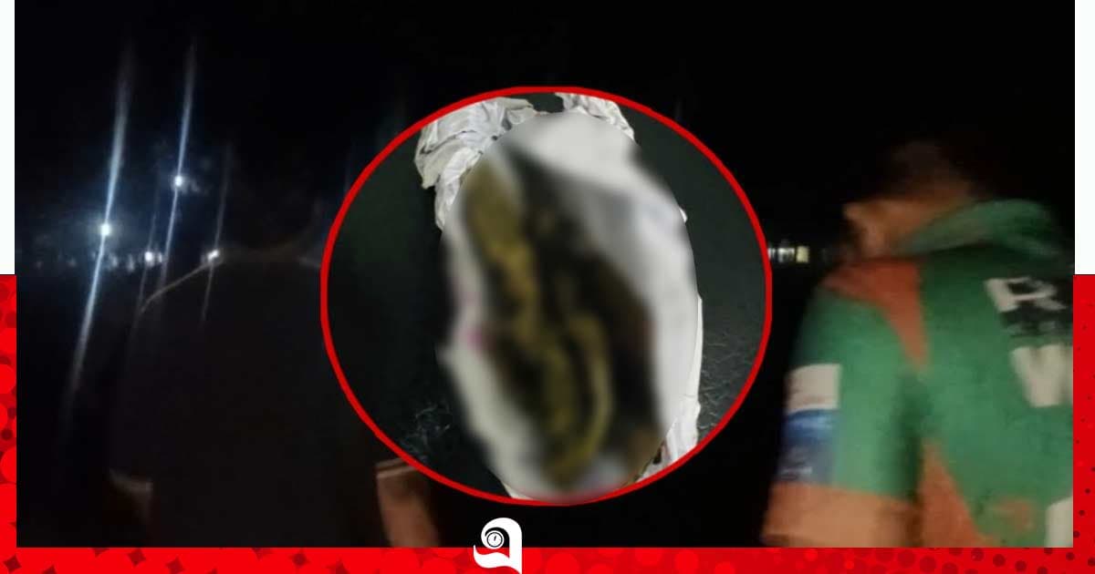 প্রক্টরিয়াল বডির ৪ সিদ্ধান্ত