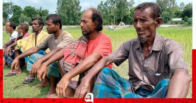 সার চেয়ে ‘পুরস্কার’ জেলের ভাত