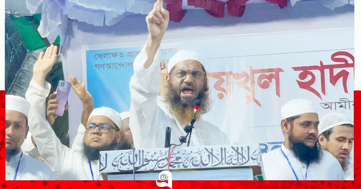 যেই ক্ষমতায় যায়, সেই হাসিনা হতে চায়: মামুনুল হক