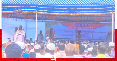 সরকার গণভোটের রায় ও জুলাই সনদ বাস্তবায়নে টালবাহানা শুরু করেছে: মামুনুল হক