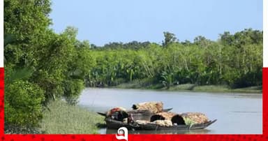 সুন্দরবনে নৌকাসহ ৪ জেলেকে অপহরণ